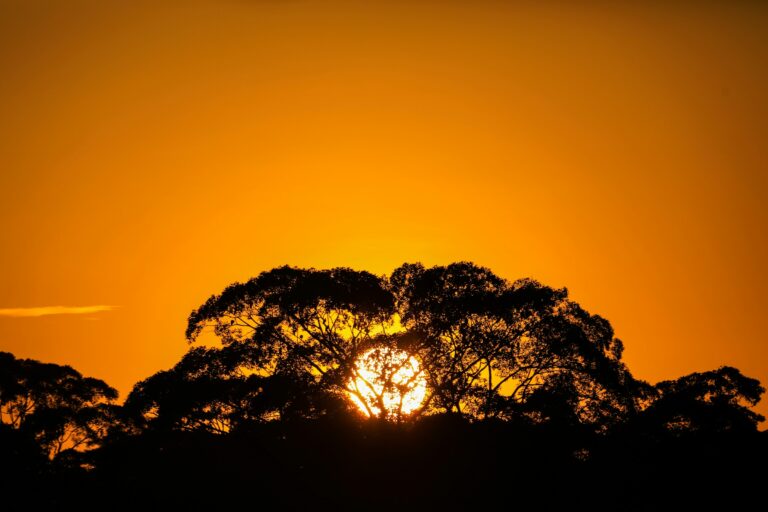 Read more about the article Happie Literacy Works Launches Inaugural Volume of Luminaura Magazine