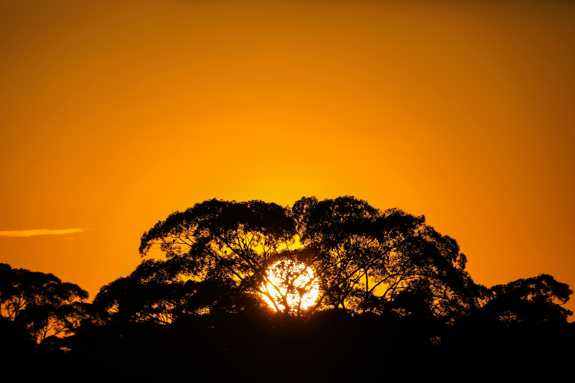 Read more about the article Happie Literacy Works Launches Inaugural Volume of Luminaura Magazine